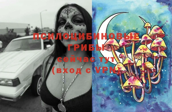индика Мегион