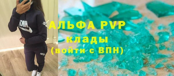 индика Мегион