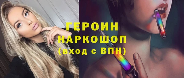 индика Мегион