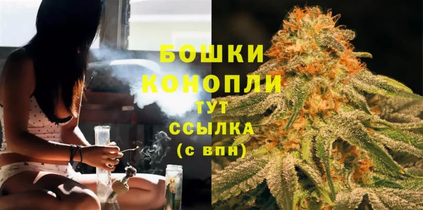 индика Мегион