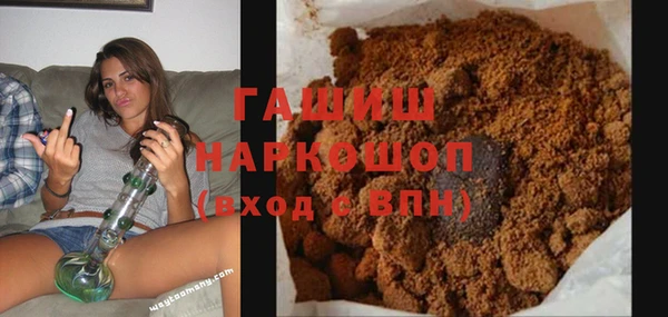 индика Мегион