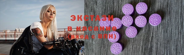 индика Мегион